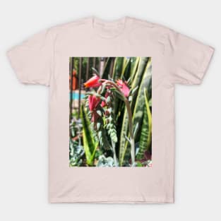 Pink flowering summer succulent T-Shirt